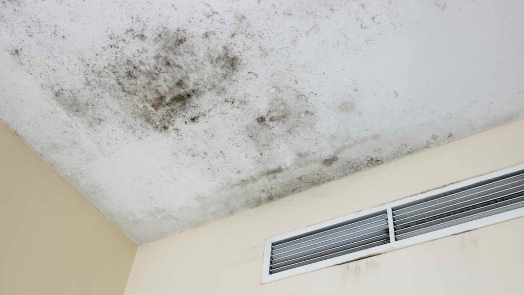 mold ceiling house in Pflugerville TX
