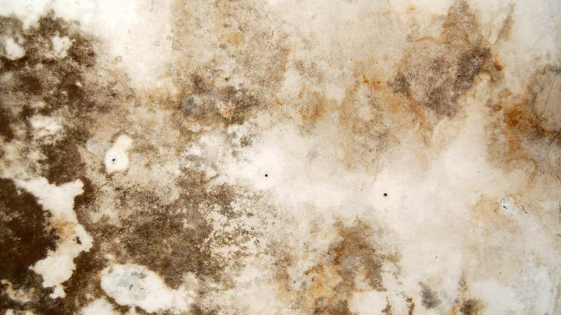 mold texture Pflugerville TX